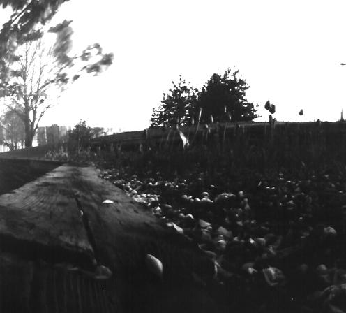 pinhole photograph