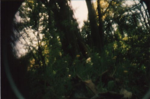 pinhole photograph