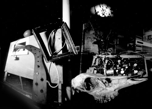 pinhole photograph