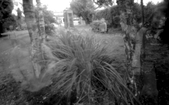 pinhole photograph