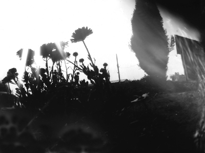 pinhole photograph