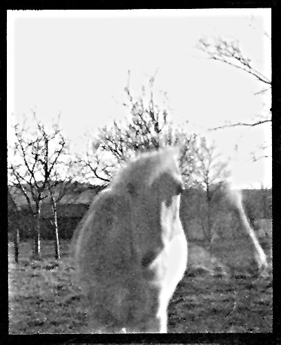 pinhole photograph