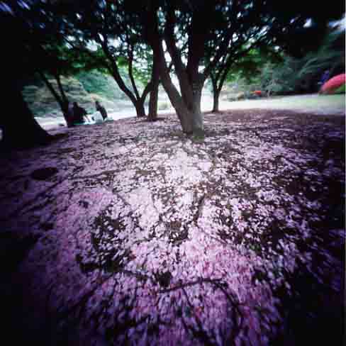 pinhole photograph