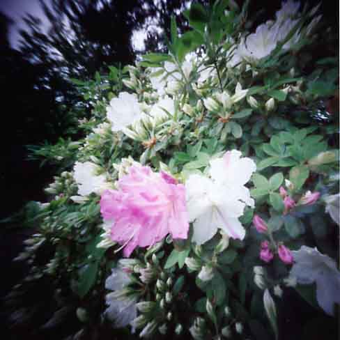 pinhole photograph