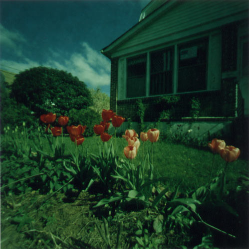 pinhole photograph