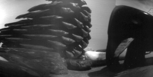 pinhole photograph