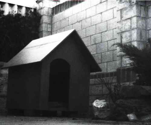 pinhole photograph