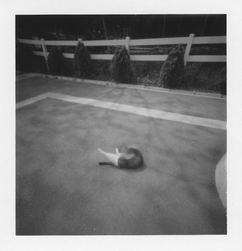 pinhole photograph