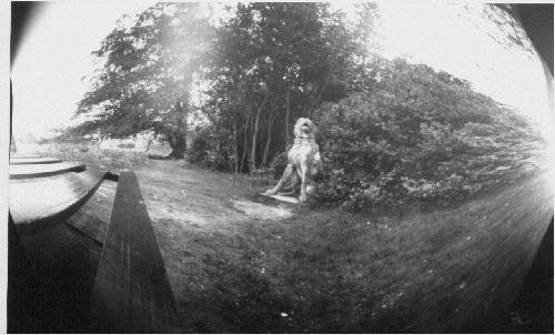 pinhole photograph