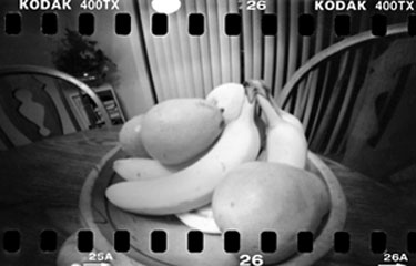 pinhole photograph