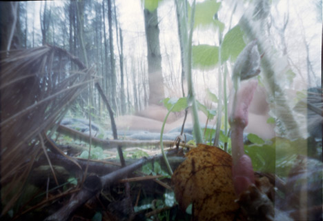 pinhole photograph