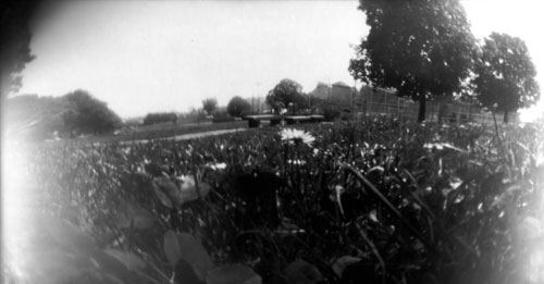 pinhole photograph