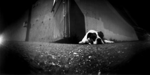 pinhole photograph