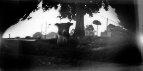 pinhole photograph