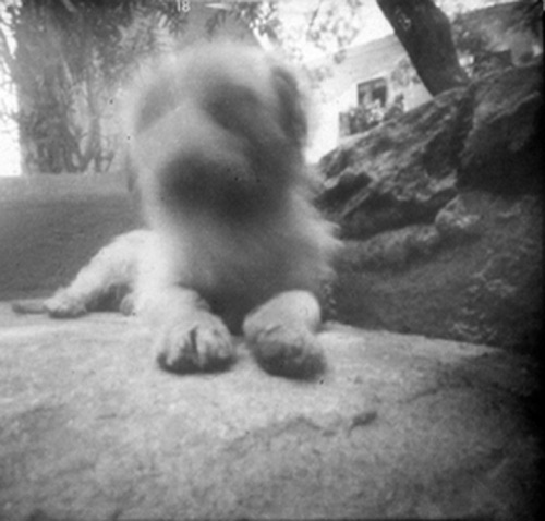 pinhole photograph