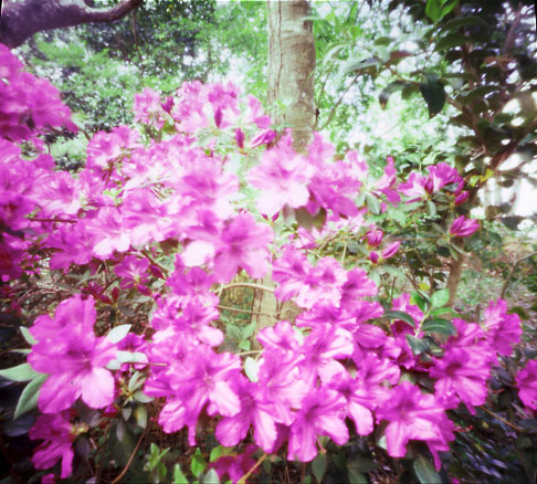 pinhole photograph