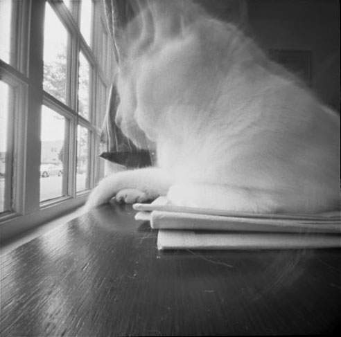 pinhole photograph
