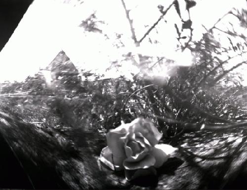 pinhole photograph