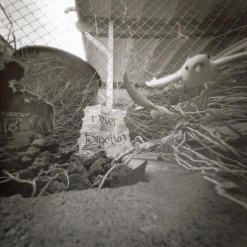 pinhole photograph