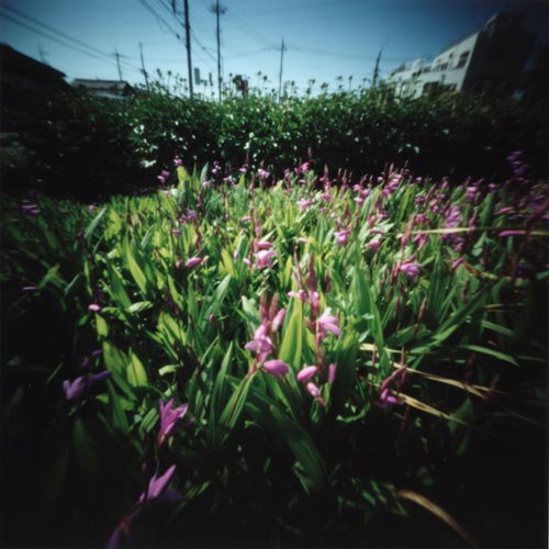 pinhole photograph