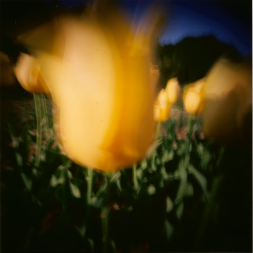 pinhole photograph
