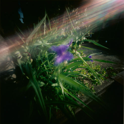 pinhole photograph