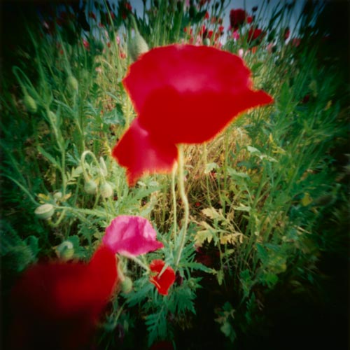 pinhole photograph