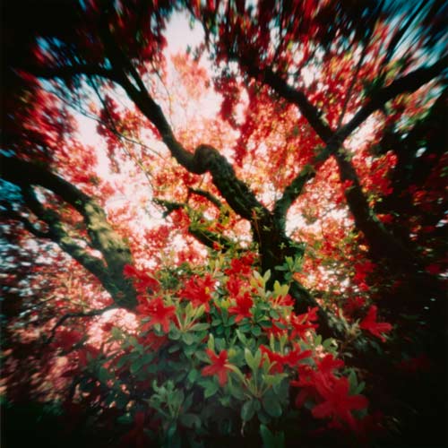 pinhole photograph