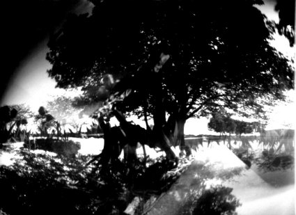 pinhole photograph