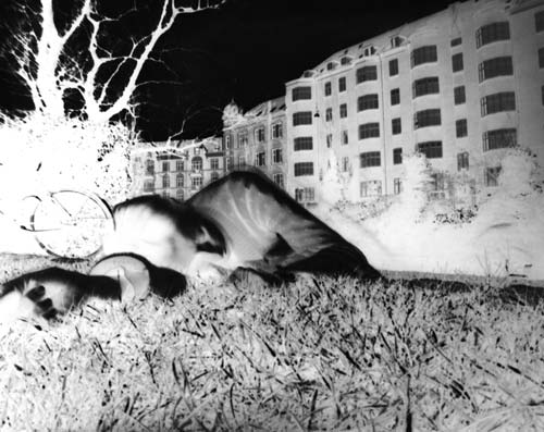 pinhole photograph