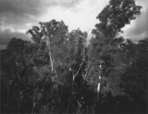 pinhole photograph