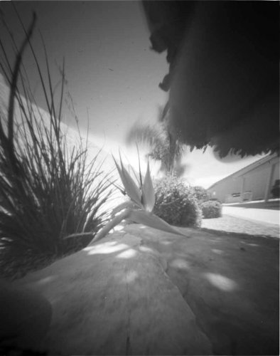 pinhole photograph