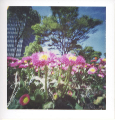 pinhole photograph