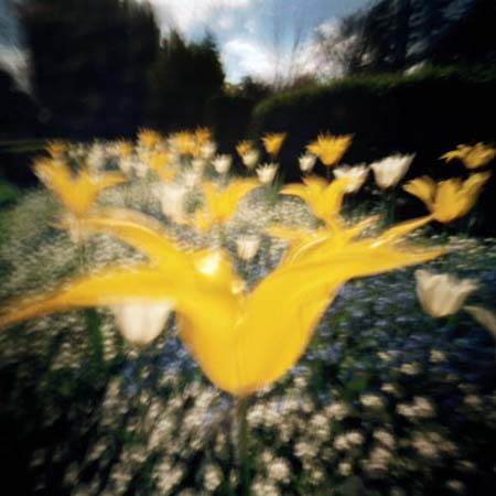 pinhole photograph