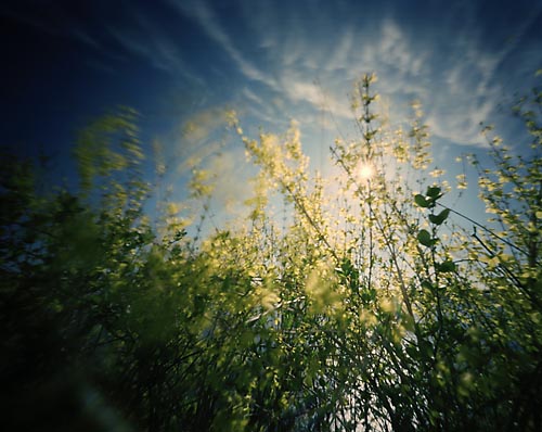 pinhole photograph