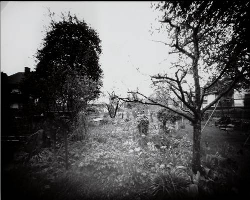 pinhole photograph