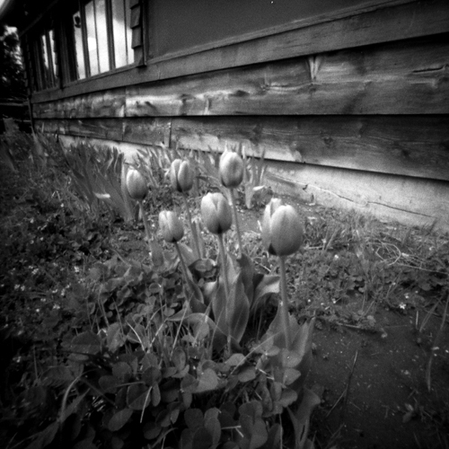 pinhole photograph