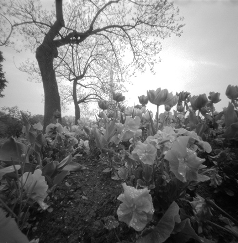 pinhole photograph