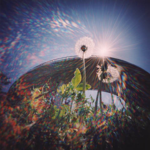 pinhole photograph