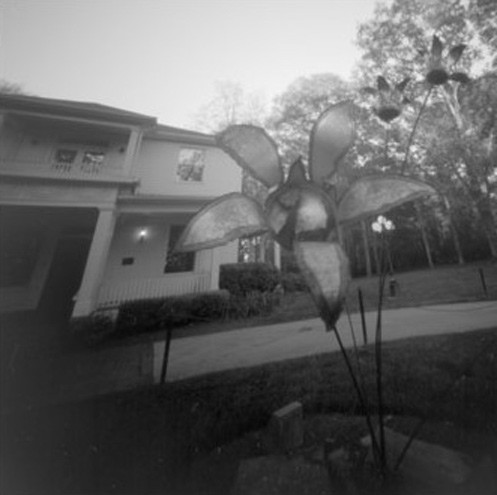 pinhole photograph