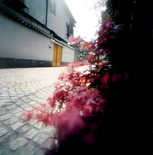 pinhole photograph