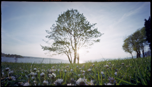 pinhole photograph