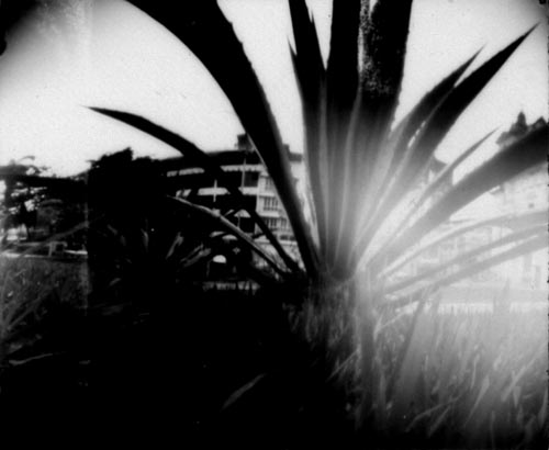 pinhole photograph