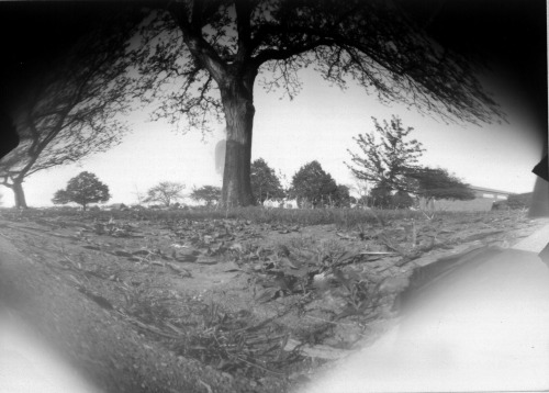 pinhole photograph