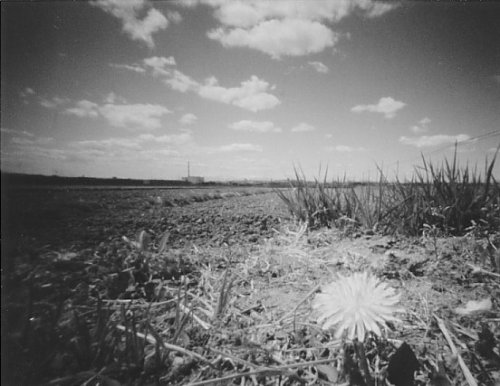 pinhole photograph