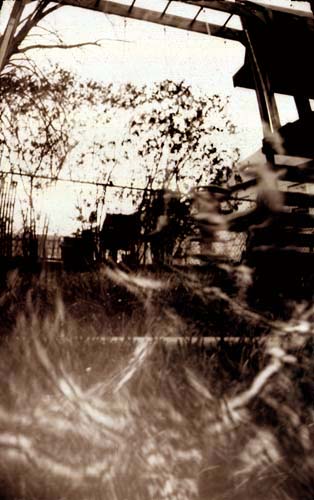 pinhole photograph