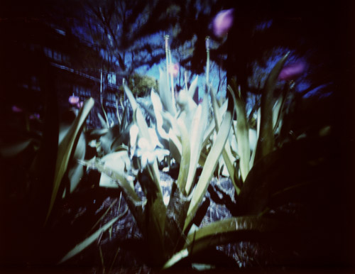 pinhole photograph