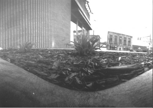 pinhole photograph