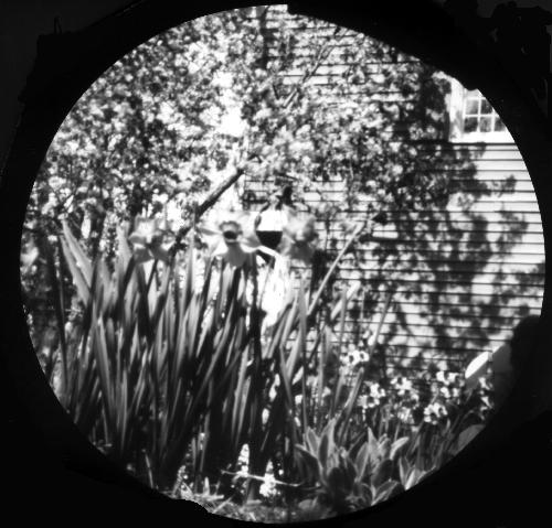 pinhole photograph