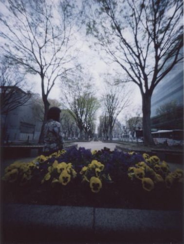 pinhole photograph